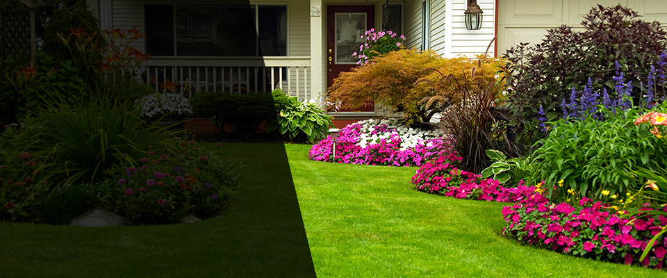 Kissimmee Landscapers