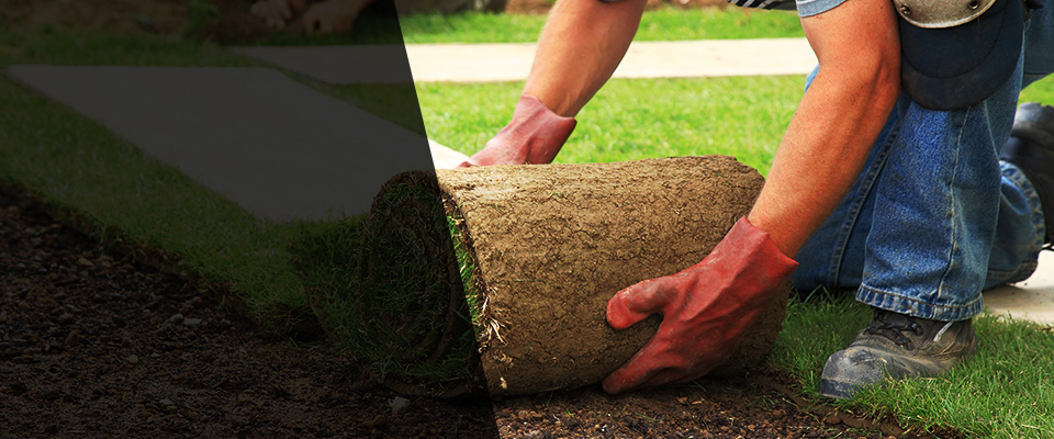 Kissimmee Landscapers